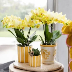 LA GREEN TOUCH - Pot décoratif rayé peint - jaune