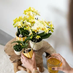 LA GREEN TOUCH - Pot décoratif rayé peint - jaune