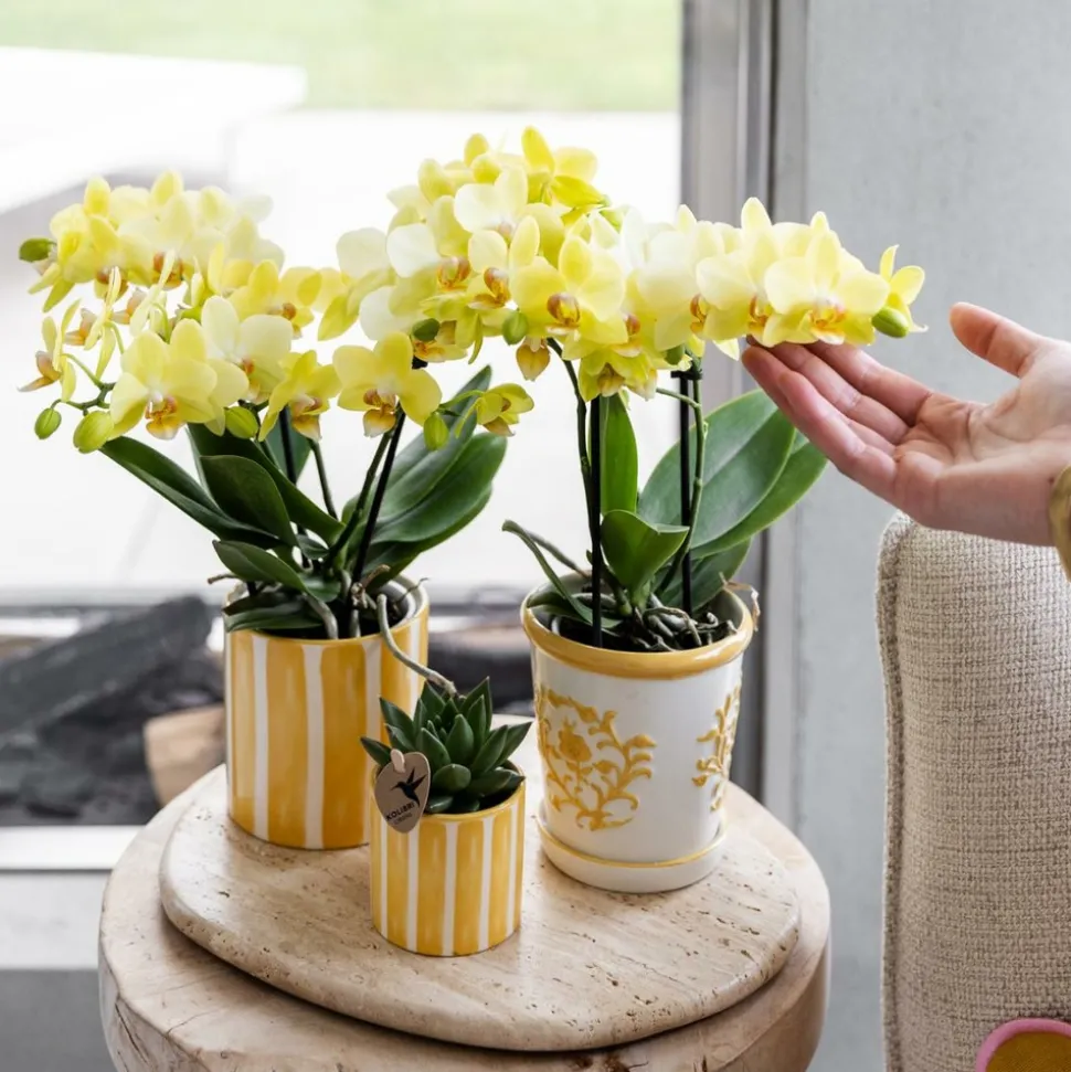 LA GREEN TOUCH - Pot décoratif à rayures peintes - jaune