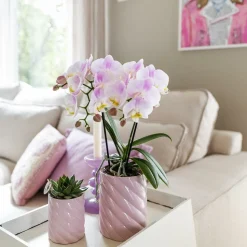 LA GREEN TOUCH - Pot décoratif candy rose vif