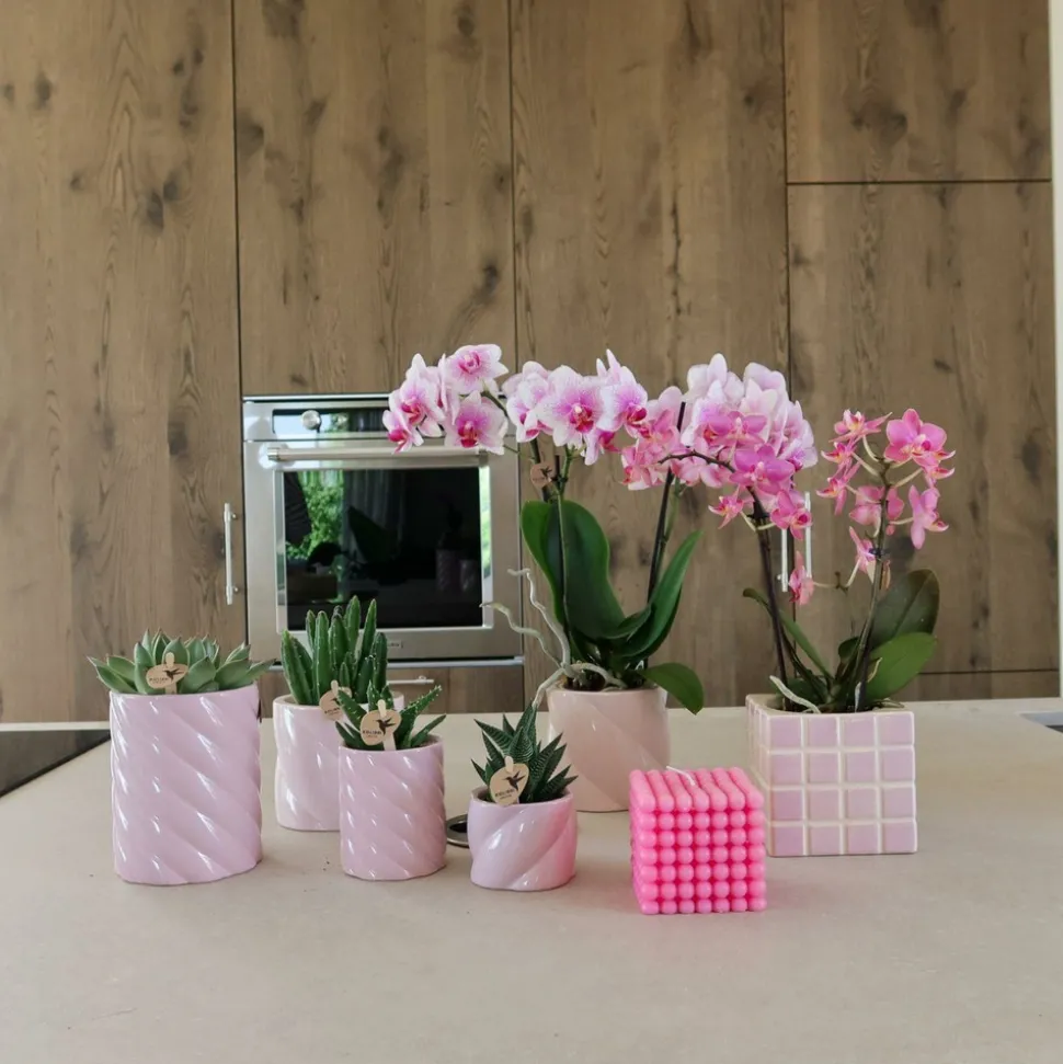 LA GREEN TOUCH - Pot décoratif candy rose vif