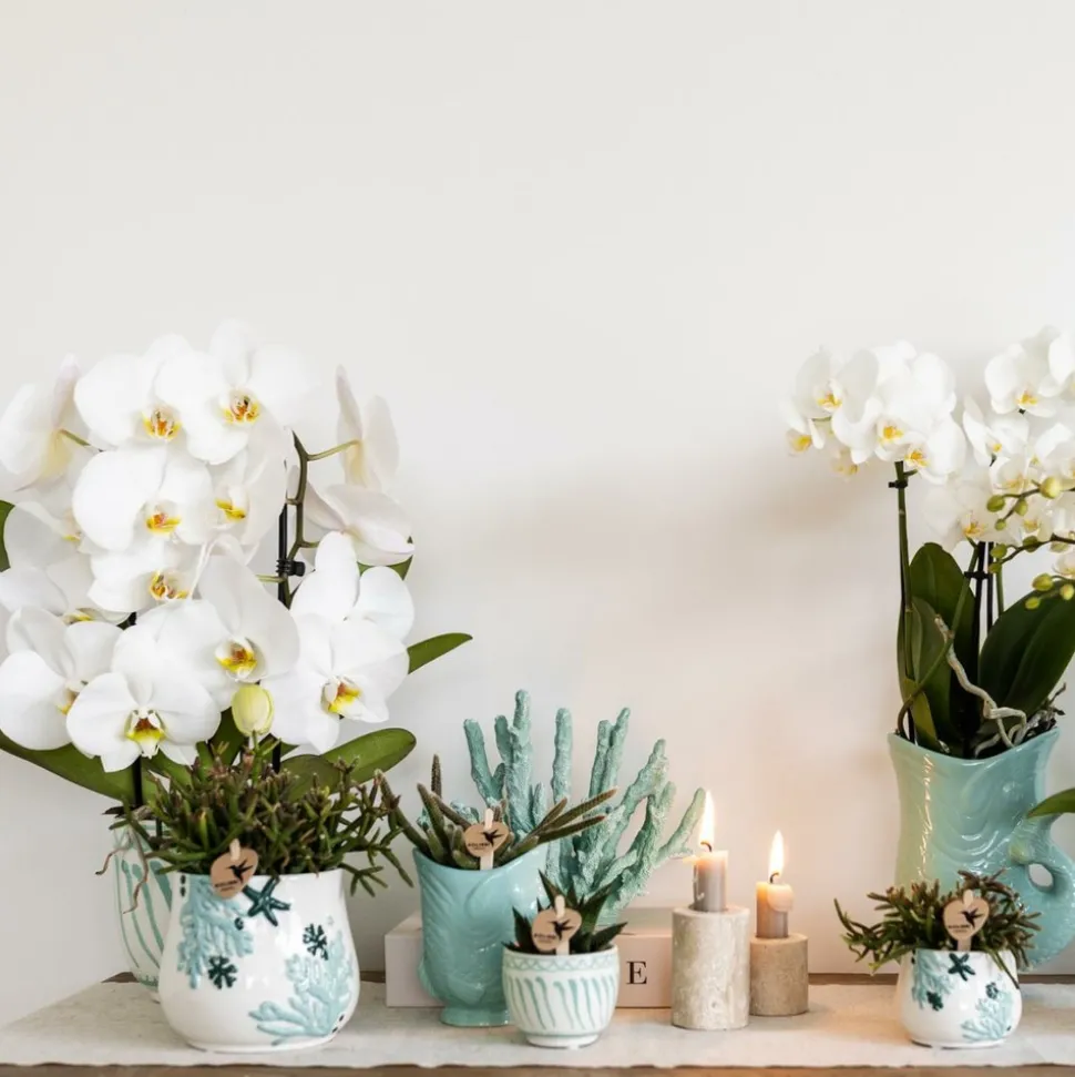 LA GREEN TOUCH - Pot décoratif granada - turquoise