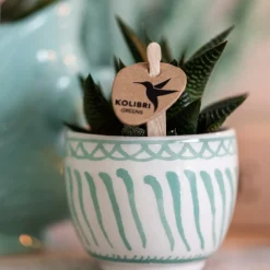 LA GREEN TOUCH - Pot décoratif granada - turquoise