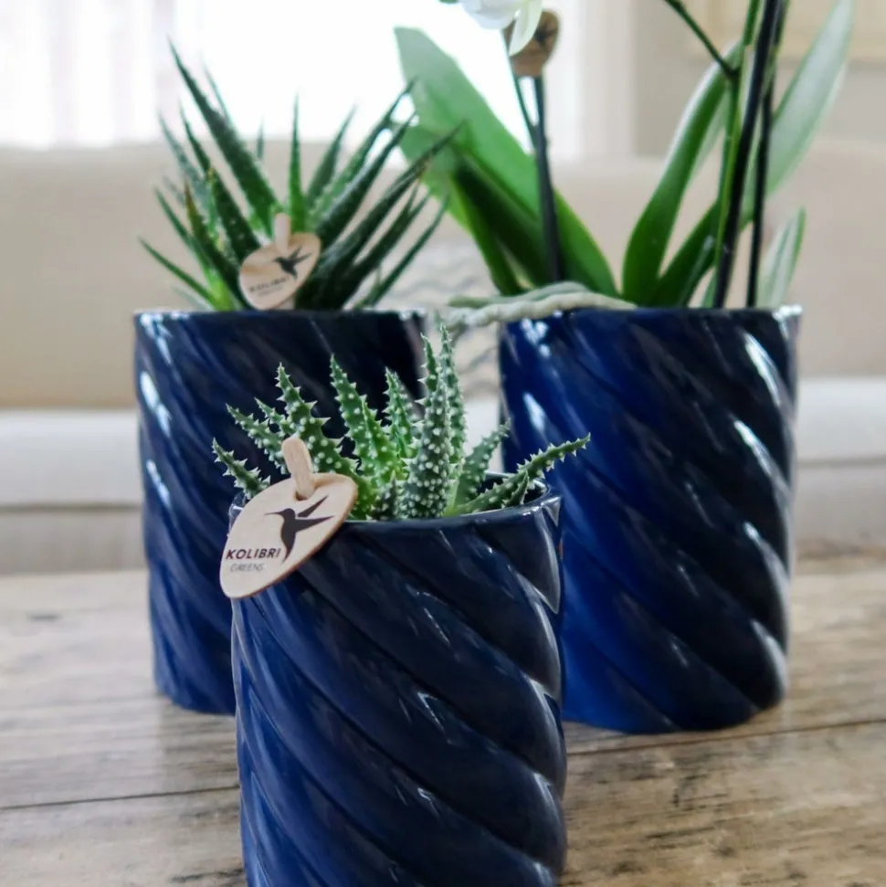 LA GREEN TOUCH - Pot décoratif candy - bleu vif