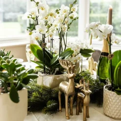 LA GREEN TOUCH - Pot diamond pearl en travertin