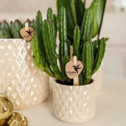 LA GREEN TOUCH - Pot diamond pearl en travertin