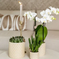 LA GREEN TOUCH - Pot diamond pearl en travertin