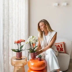 LA GREEN TOUCH - Pot diamond pearl rouge