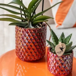 LA GREEN TOUCH - Pot diamond pearl rouge