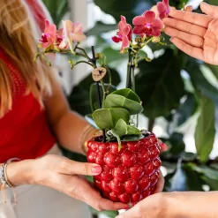 LA GREEN TOUCH - Pot en céramique rouge