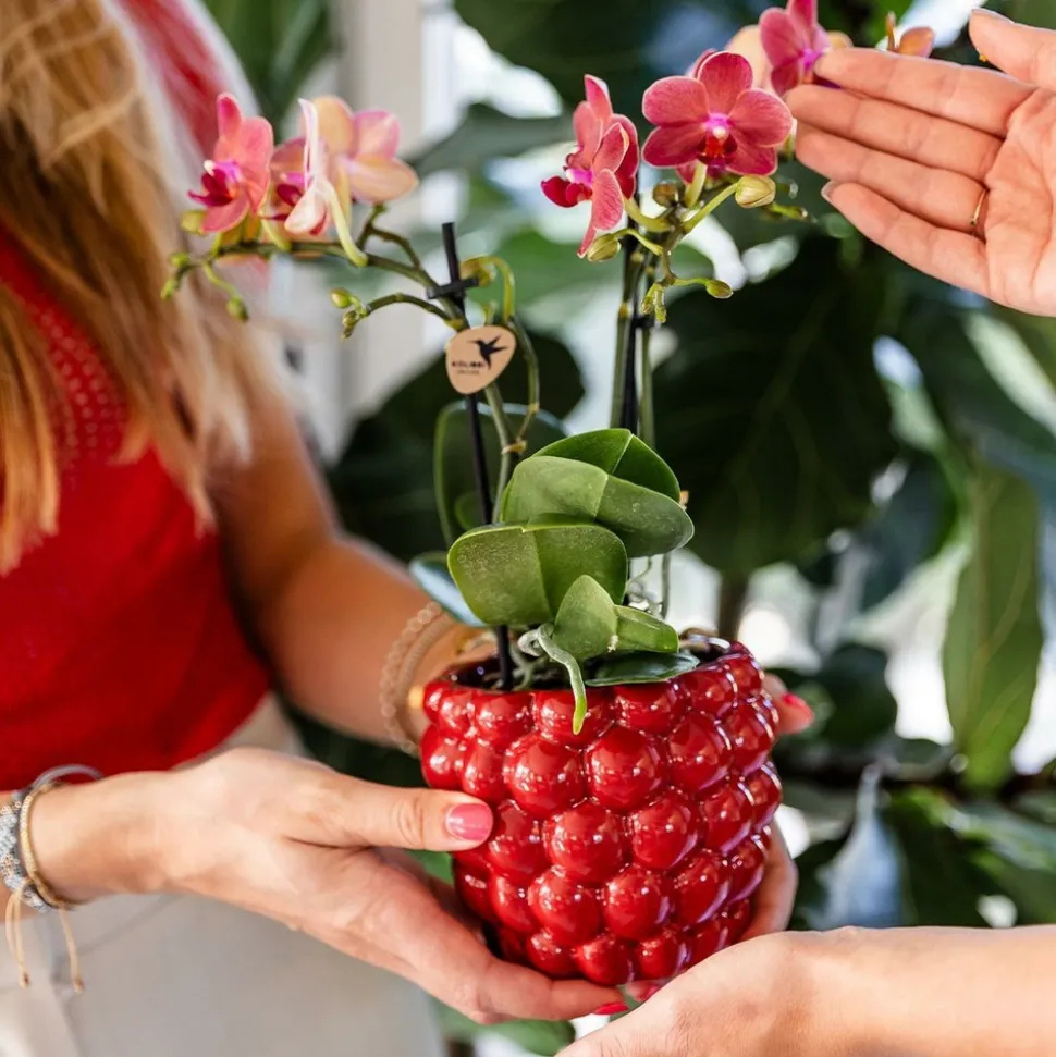 LA GREEN TOUCH - Pot en céramique rouge