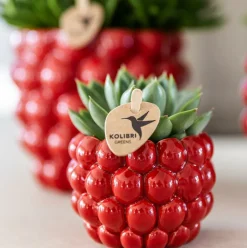 LA GREEN TOUCH - Pot en céramique rouge pour plantes