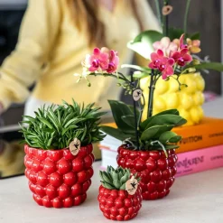 LA GREEN TOUCH - Pot en céramique rouge pour plantes