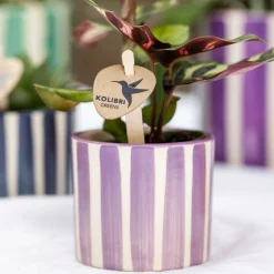 LA GREEN TOUCH - Pot en céramique lilas à rayures