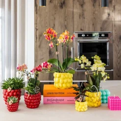 LA GREEN TOUCH - Pot en céramique rouge pour plantes d'intérieur