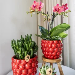 LA GREEN TOUCH - Pot en céramique rouge pour plantes d'intérieur