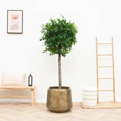 LA GREEN TOUCH - Pot indigo vintage or 46 cm