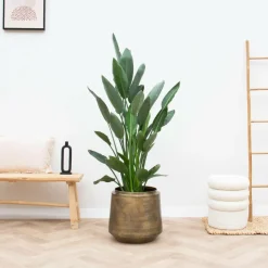 LA GREEN TOUCH - Pot indigo vintage or 46 cm