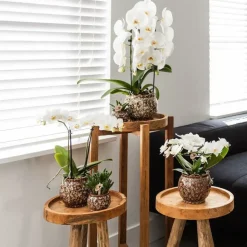 LA GREEN TOUCH - Pot safari - céramique élégante pour plantes