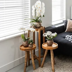 LA GREEN TOUCH - Pot safari décoratif en céramique