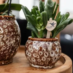 LA GREEN TOUCH - Pot safari décoratif en céramique