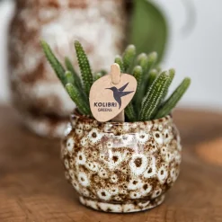 LA GREEN TOUCH - Pot safari en céramique fait main