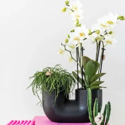 LA GREEN TOUCH - Pot tubulaire en céramique noir