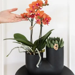 LA GREEN TOUCH - Pot tubulaire en céramique noir