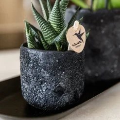 LA GREEN TOUCH - Sierpot moon noir - luxe industriel