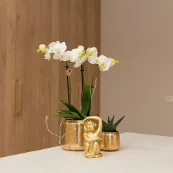 LA GREEN TOUCH - Singe assis or - figurine décorative