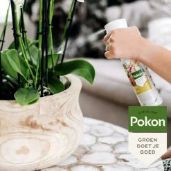 LA GREEN TOUCH - Spray hydratant brillance pour orchidées