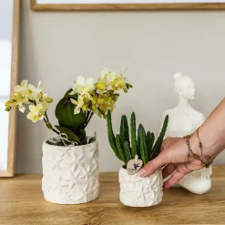 LA GREEN TOUCH - Star fish pot décoratif - sable