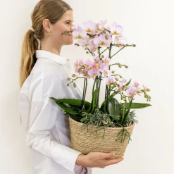 LA GREEN TOUCH - Système d'arrosage pour orchidées avec réservoir et mèches