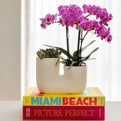 LA GREEN TOUCH - Tube sierpot duo en céramique - blanc