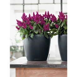 LECHUZA - Pot Classico Color, coloris gris ardoise D.43xH.40cm