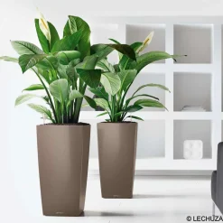 LECHUZA - Pot Cubico Premium en polypropylène, taupe L. 30 x l. 30 x H. 56 cm