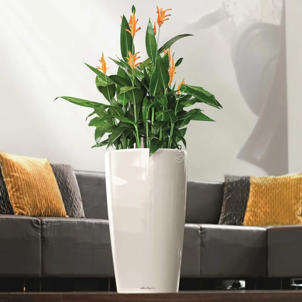 LECHUZA - Pot Rondo, coloris blanc D.32xH.56cm