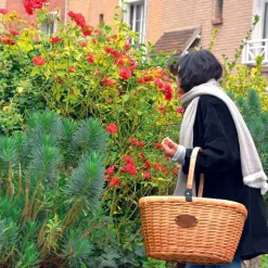 LES JARDINS DE LA COMTESSE - Etole / pashmina femme marron glacé