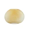 LIGHT AND LIVING - Vase concha verre jaune 24x10x33cm