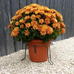 LOUIS MOULIN - Stabilisateur de pot, anthracite Ø 20 x H. 15,5 cm