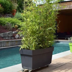 LOUIS MOULIN - Support "spécial bac" avec 6 roulettes, en aluminium L. 70 cm