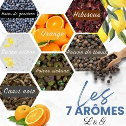 LOUISE & GASTON - Kit découverte aromatisation Gin