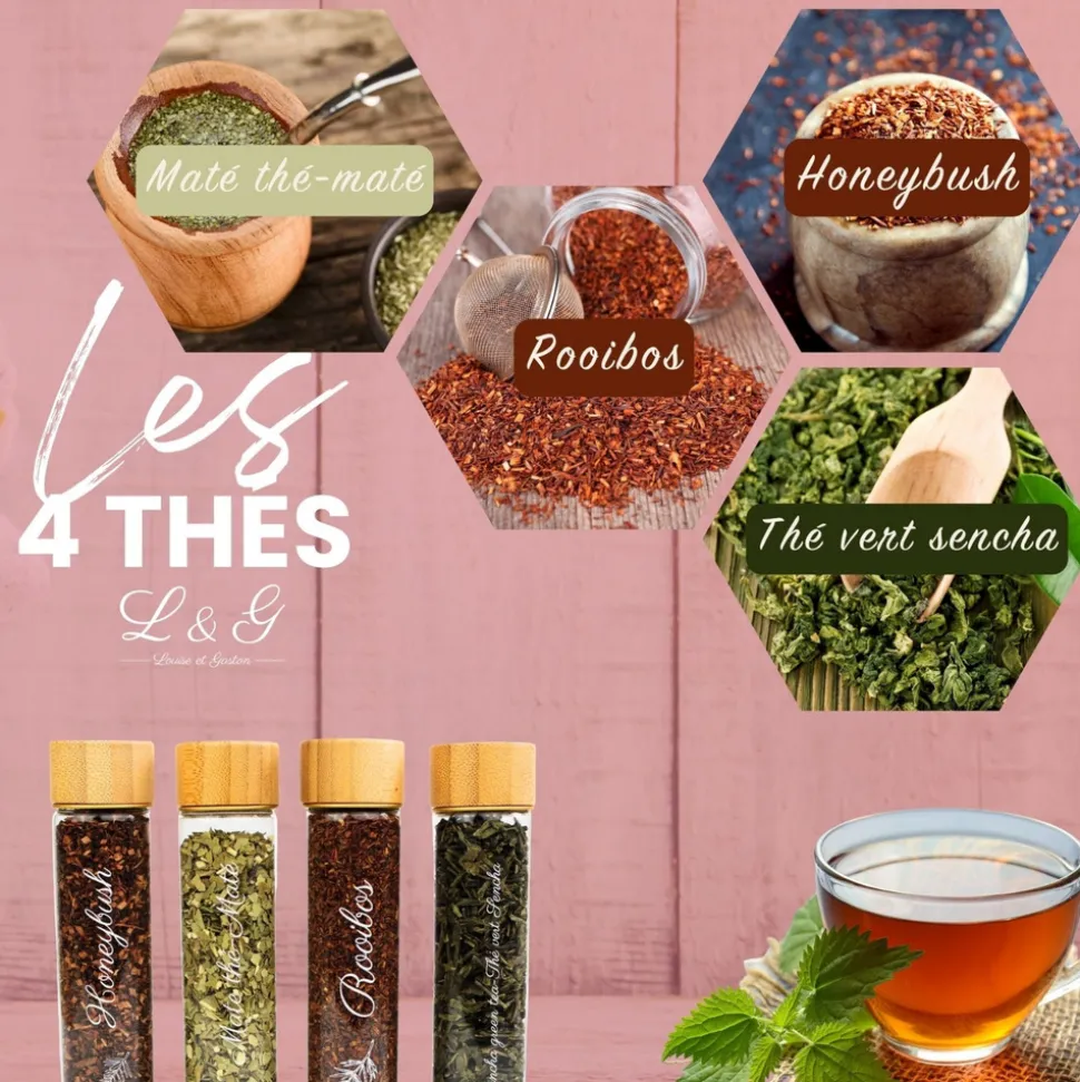 LOUISE & GASTON - Kit thé infusion préparation et dégustation - Honeybush, Rooibos, Vert Sancha, Maté - Infuseur inclus - Coffret cadeau thé DIY