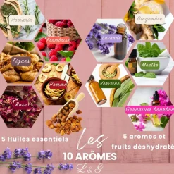 LOUISE & GASTON - Kit thé infusion préparation et dégustation - Honeybush, Rooibos, Vert Sancha, Maté - Infuseur inclus - Coffret cadeau thé DIY