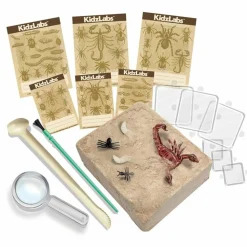 4M - Découverte de la science - kit des insectes rampants