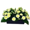 MARICHAL - Jardinière 40Cm de 48 chrysantheme jaune , H35CM - L50Cm, 5Kg