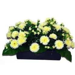 MARICHAL - Jardinière 40Cm de 48 chrysantheme jaune , H35CM - L50Cm, 5Kg