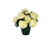 MARICHAL - Pot de 14 chrysantheme crème , H37CM - L38Cm, 2Kg