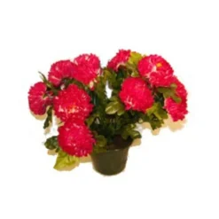 MARICHAL - Pot de 14 chrysantheme lavande , H37CM - L38Cm, 2Kg