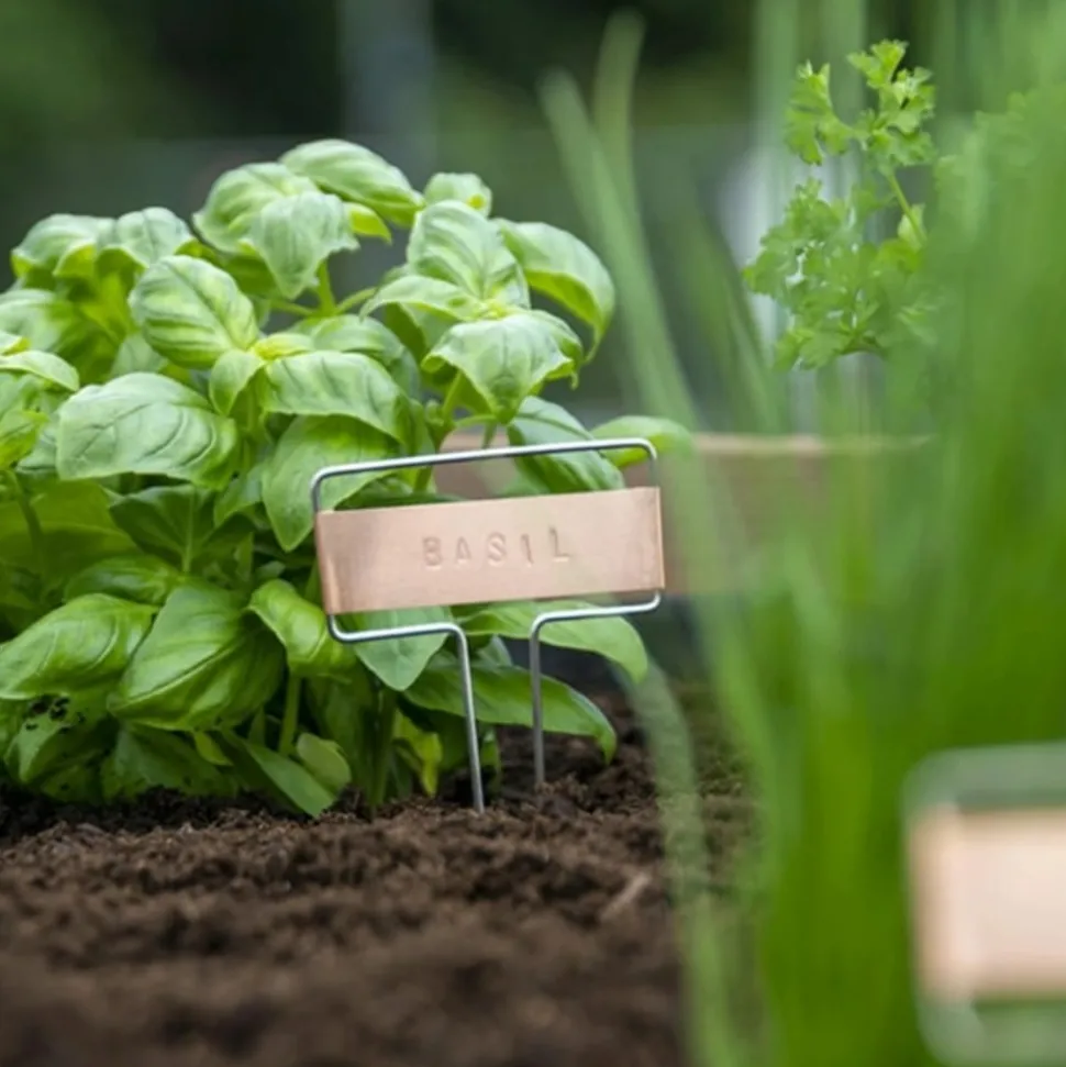 MES COURSES EN VRAC - Kit de poinçons pour étiquette de plantes